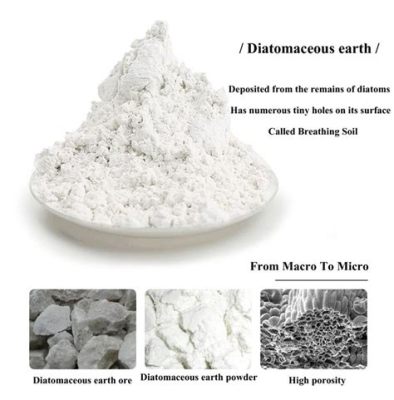  Diatomaceous Earth: Mikrofiltraatioon ja Absorbenttien Valmistukseen Käytettävä Luonnonmateriaali!